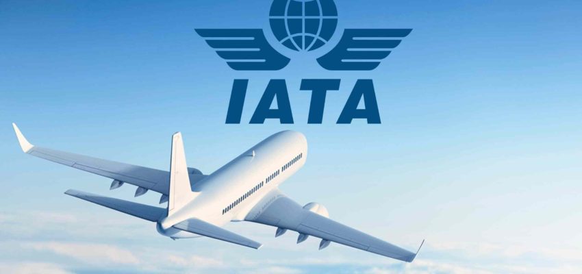 Las nuevas medidas plantea la IATA para viajar en avión Covid-19 - Noticias - arecoa.com