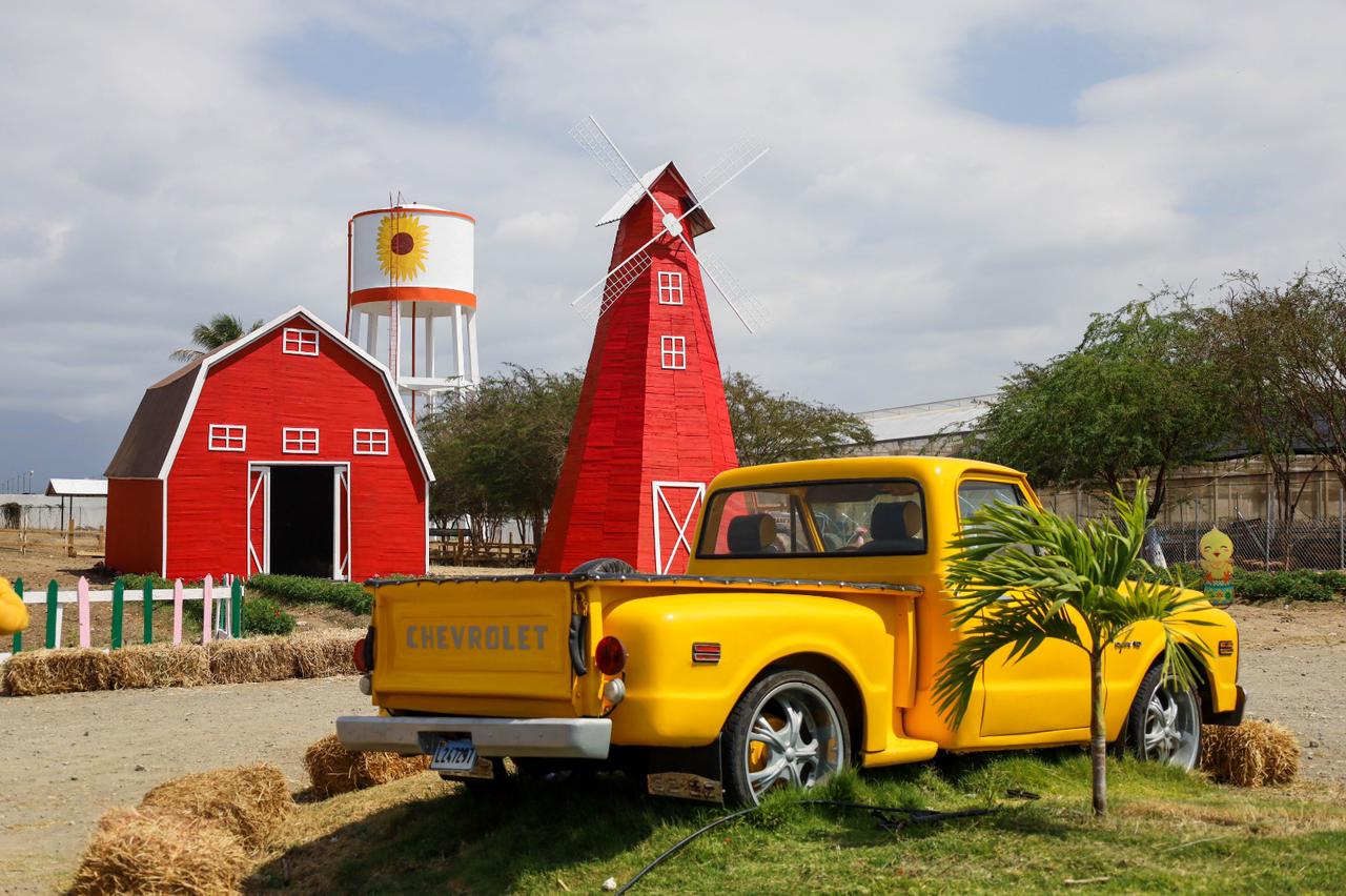 Finca agroturística «Tierra Tropical» realizará el Sunflower Festival 2023